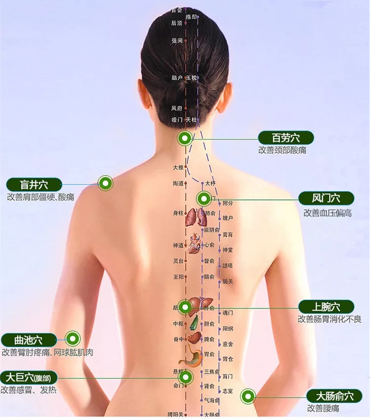 中医负压排酸仪的原理